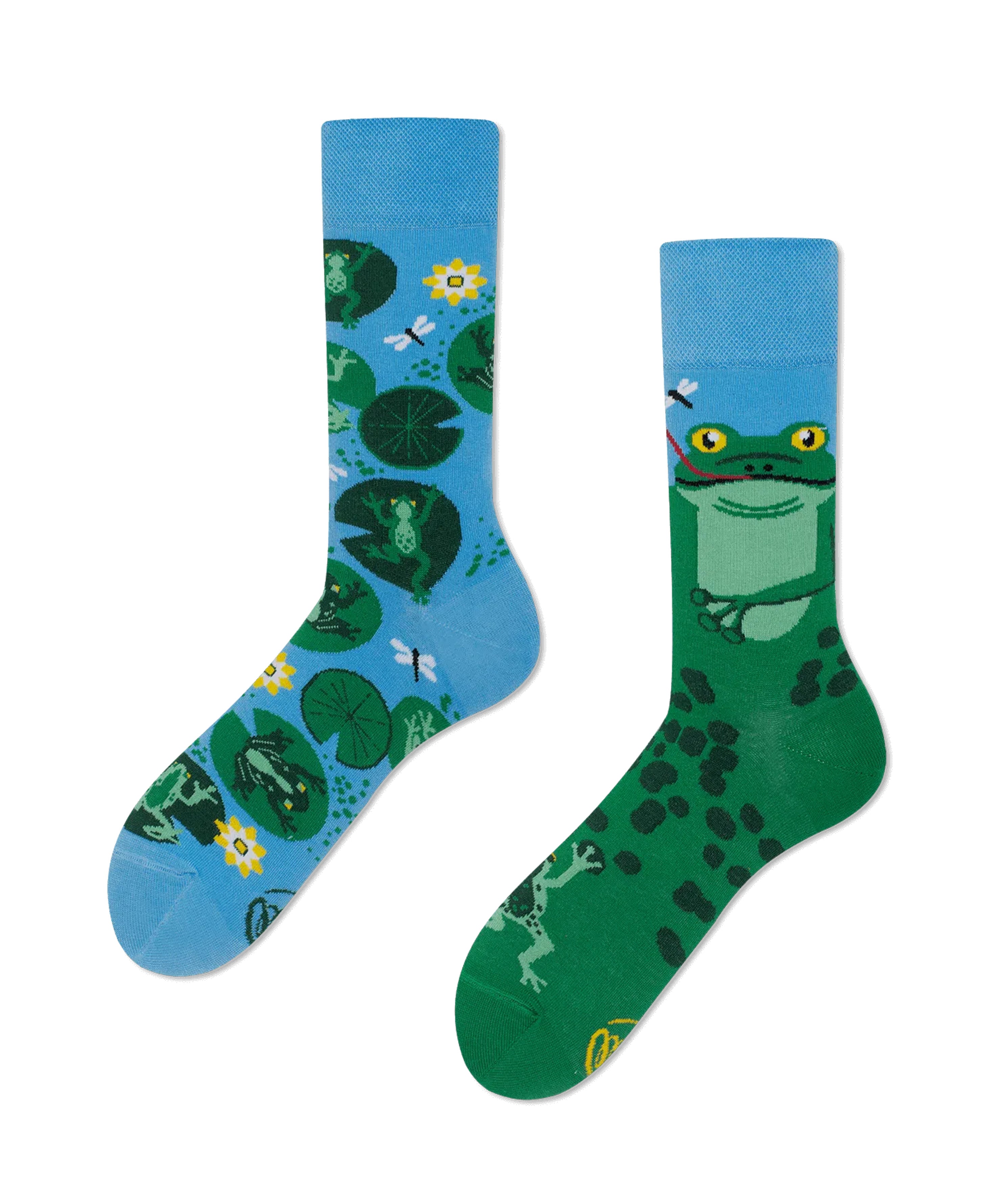 Many Mornings Zokni - Froggy Frog Many Mornings Zokni - Froggy Frog