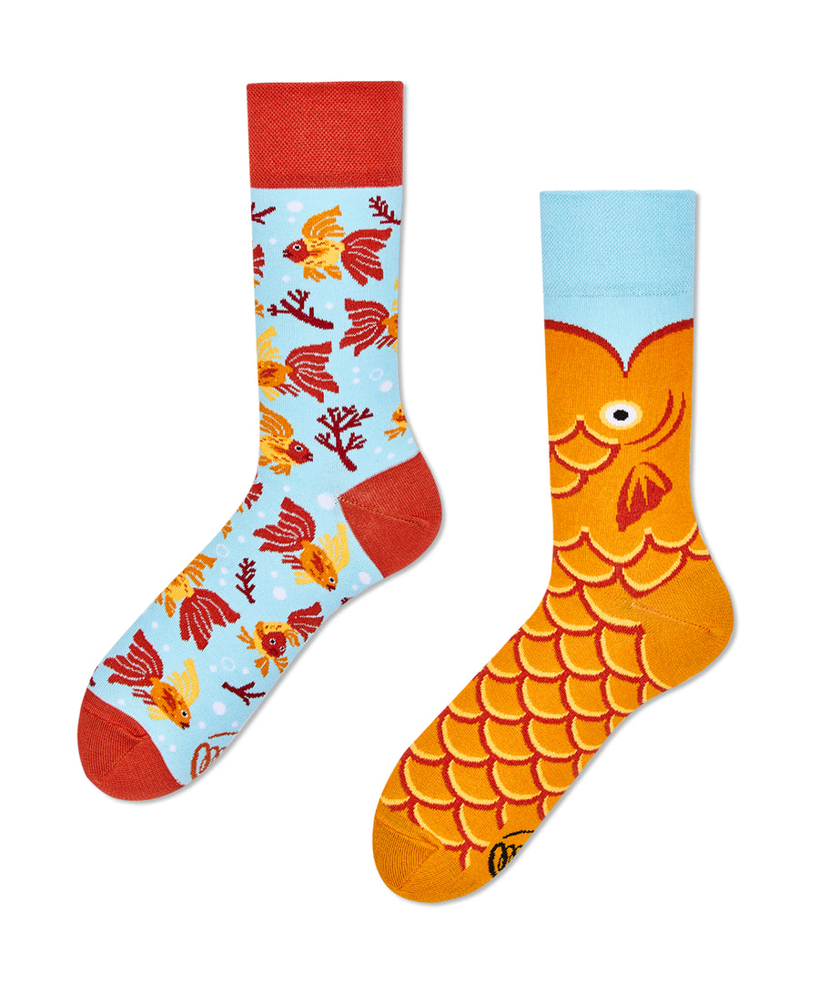 Many Mornings Socks - The Wish Fish
