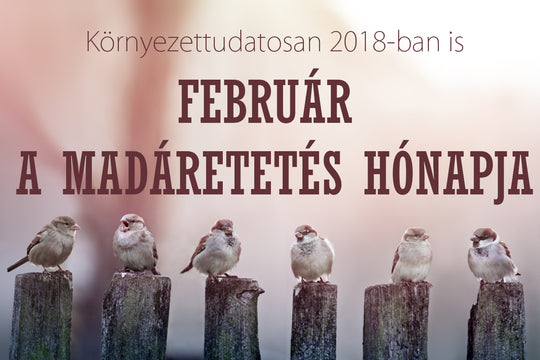 Környezettudatosan 2018-ban is! - Február a madáretetés hónapja