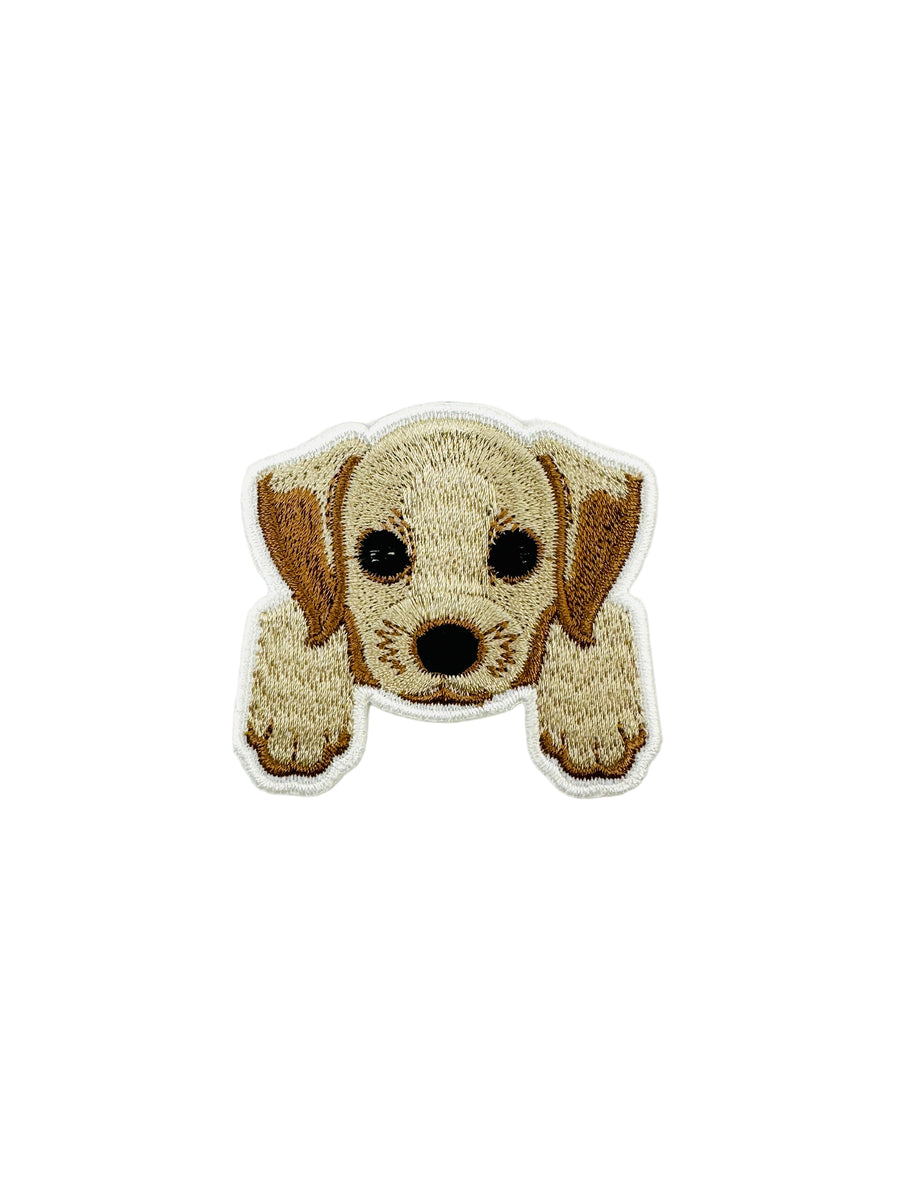 Patch - Small dog