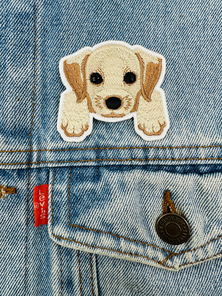Patch - Small dog