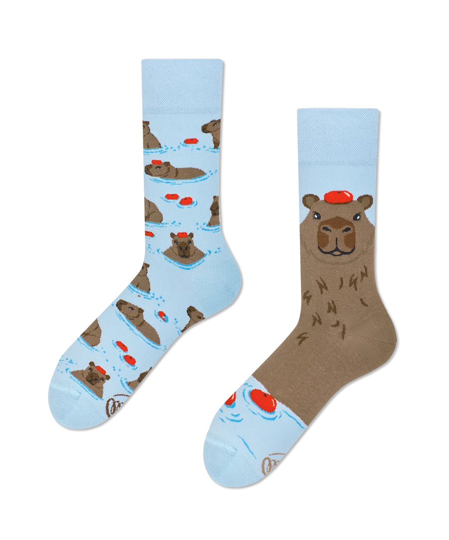 Many Mornings Socks - Capybara