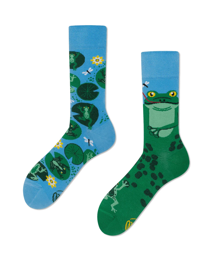 Many Mornings Socks - Froggy Frog