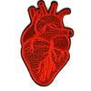 Patch - Anatomy of the heart