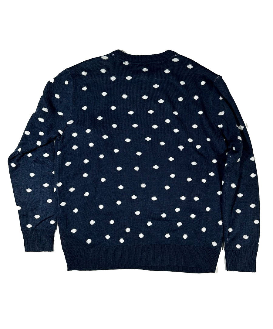 Vintage Christmas Sweater - Feliz Navidog 