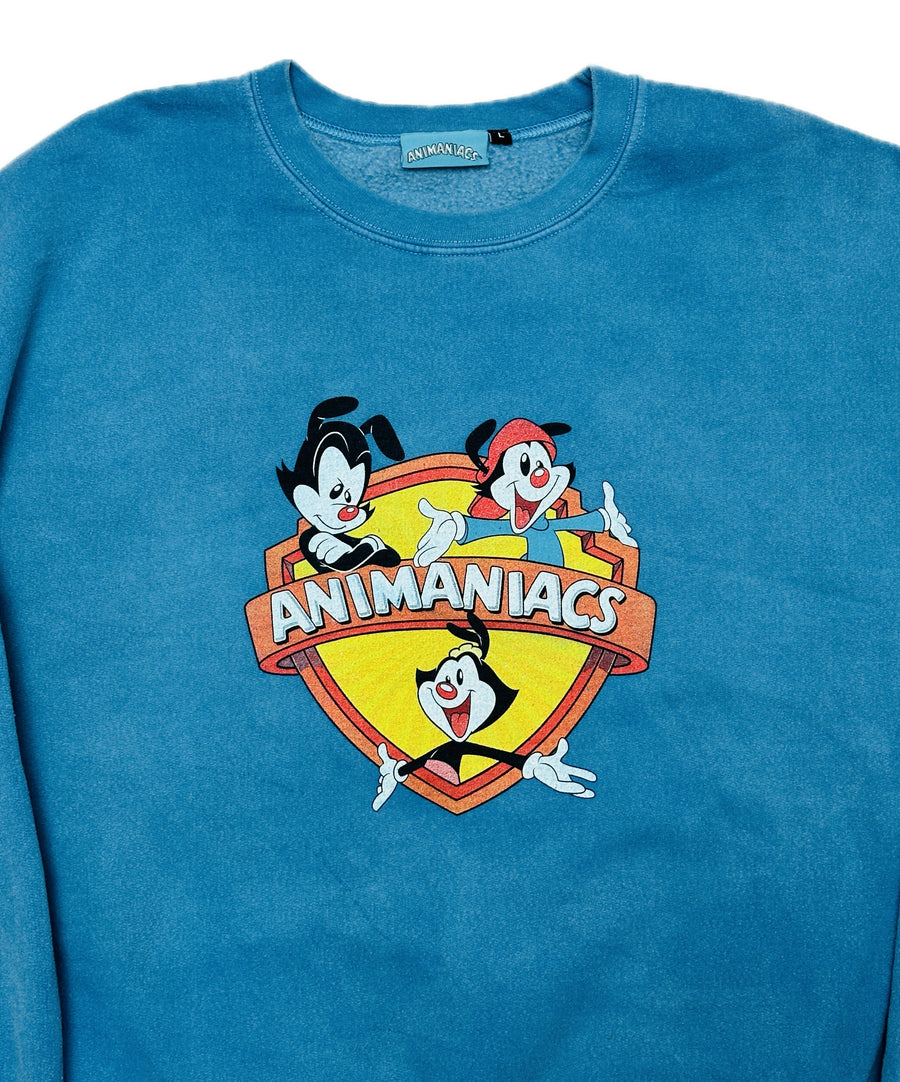 Vintage sweatshirt - Animaniacs