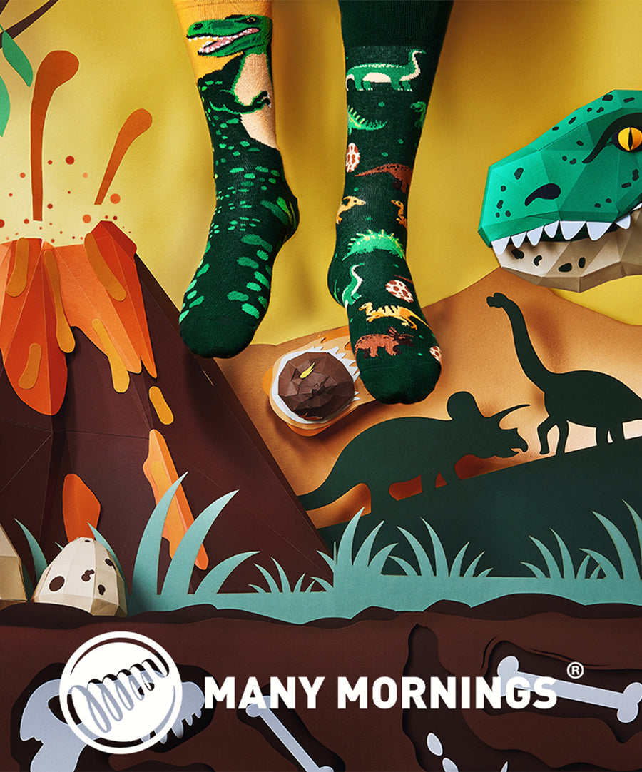 Many Mornings Socks - The Dinosaurs