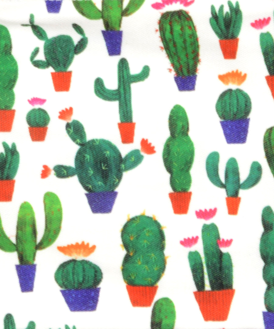 Húzózáras vászon neszesszer kaktusz mintával.
